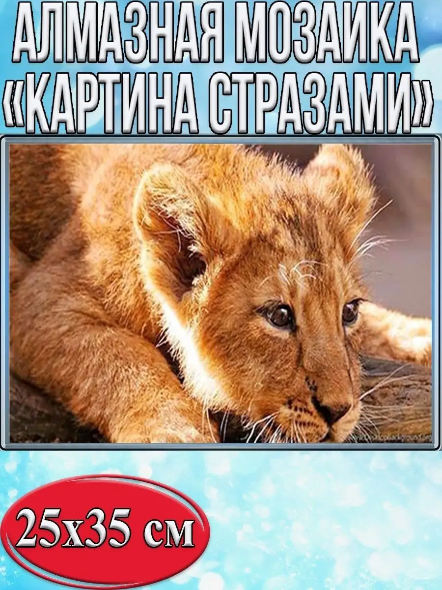 Алмазная мозаика картина стразами Львёнок, 30х40 см