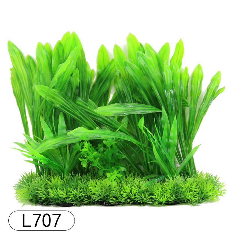 L707