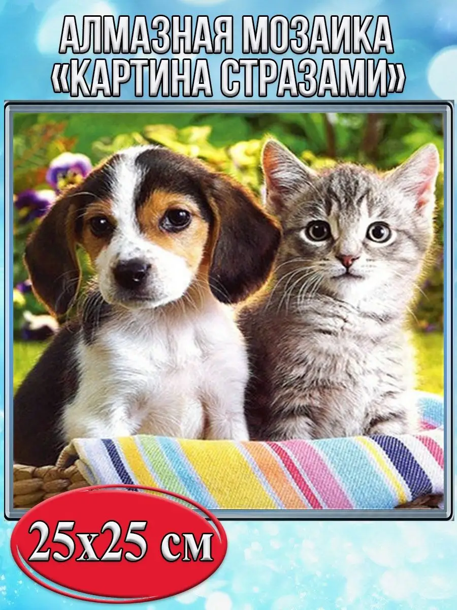 Алмазная мозаика картина стразами Щенок с котёнком, 30х30 см
