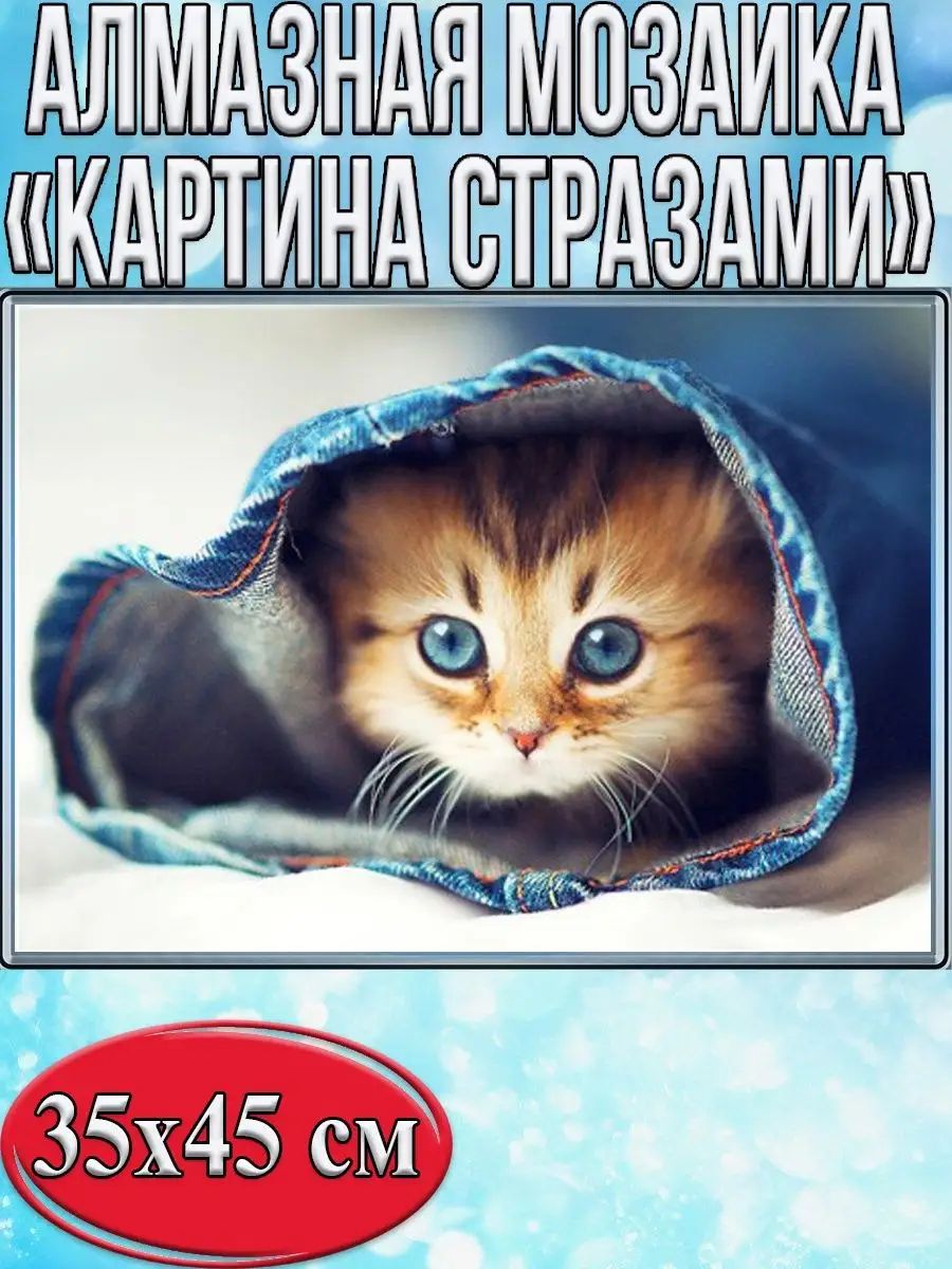 Алмазная мозаика картина стразами Котёнок в рукаве, 40х50 см