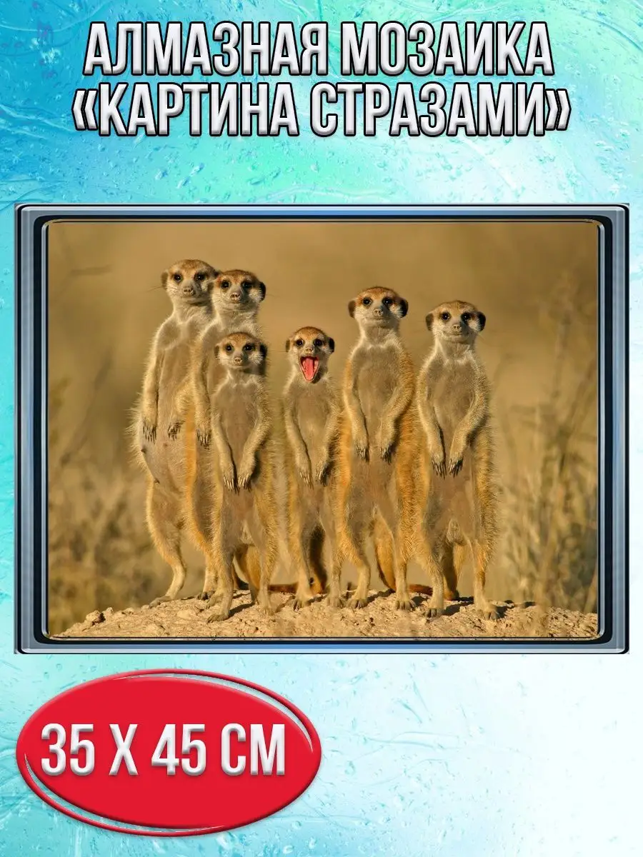 Алмазная мозаика картина стразами Сурикаты, 40х50 см