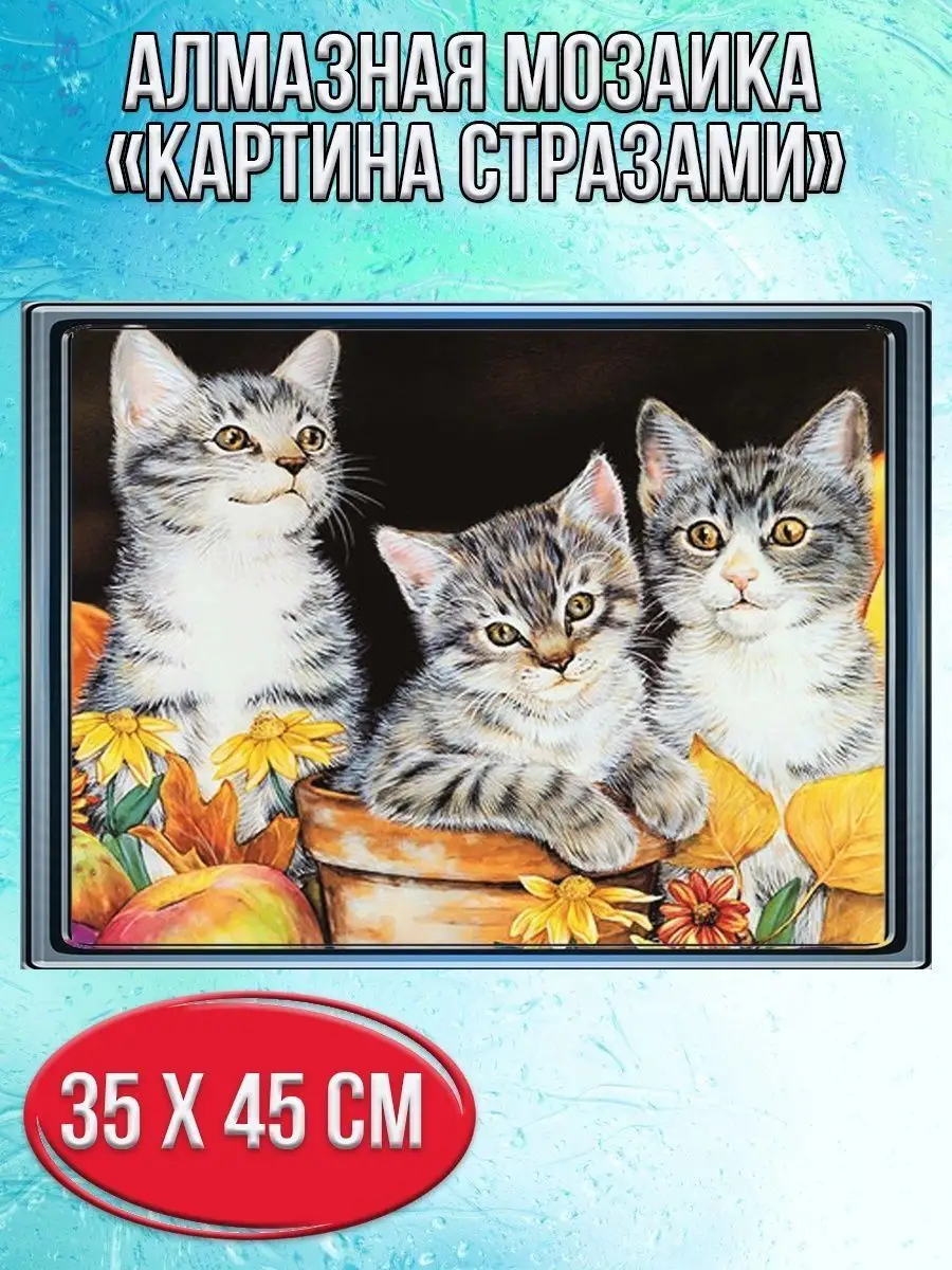 Алмазная мозаика картина стразами Три котёнка, 40х50 см