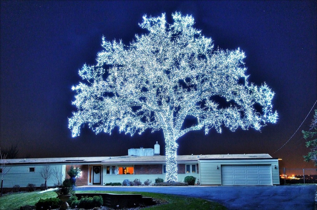 Уличная светодиодная гирлянда нить, 100LED