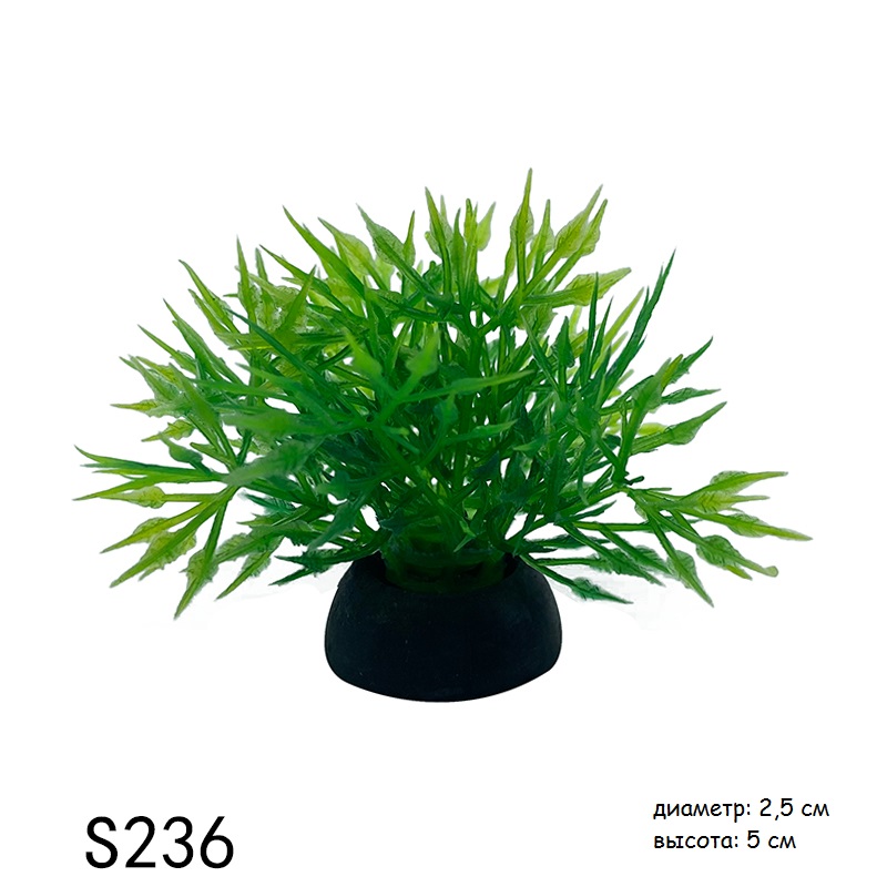 s236