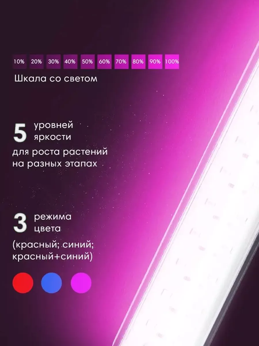 00117787-2