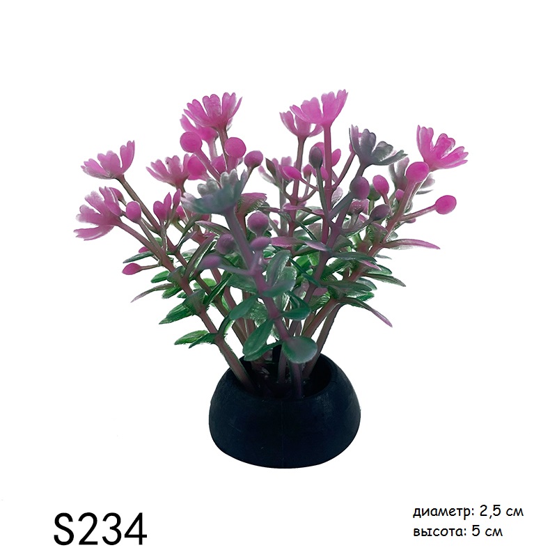 s234