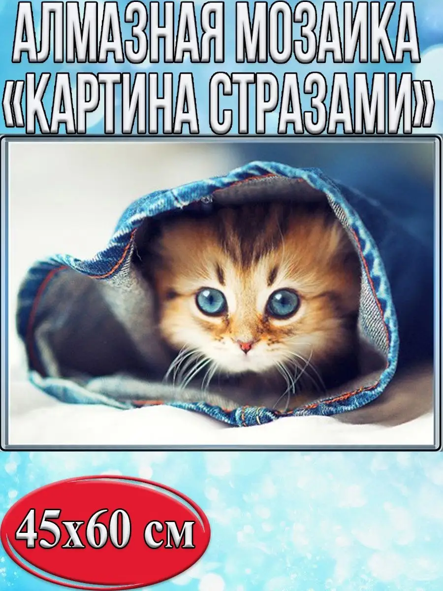 Алмазная мозаика картина стразами Котёнок в рукаве, 50х65 см