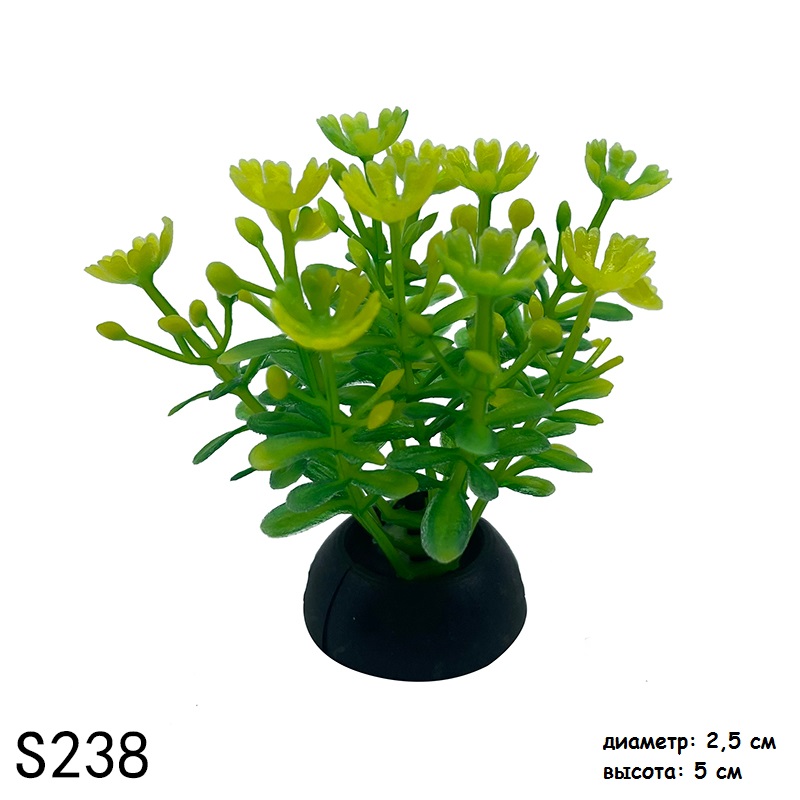 s238