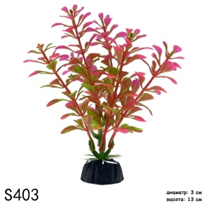 S403