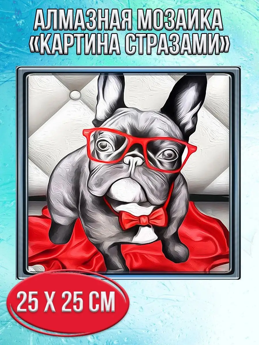 Алмазная мозаика картина стразами Бульдог в очках, 30х30 см