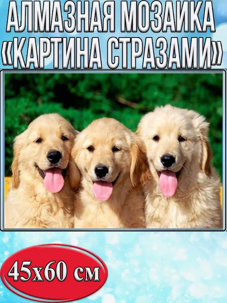 Алмазная мозаика картина стразами Три лабрадора, 50х65 см