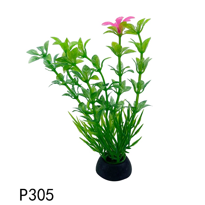 p305