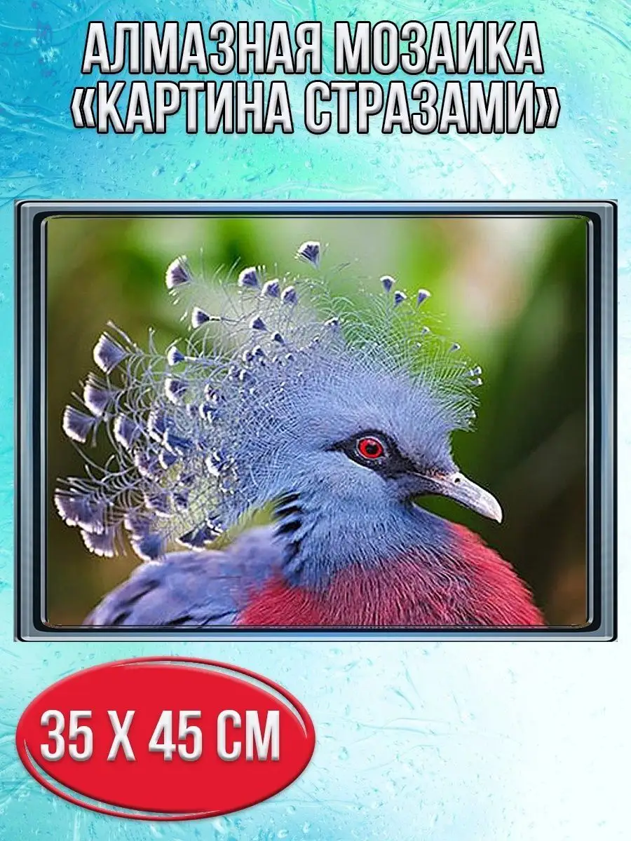 Алмазная мозаика картина стразами Венценосный голубь, 40х50 см