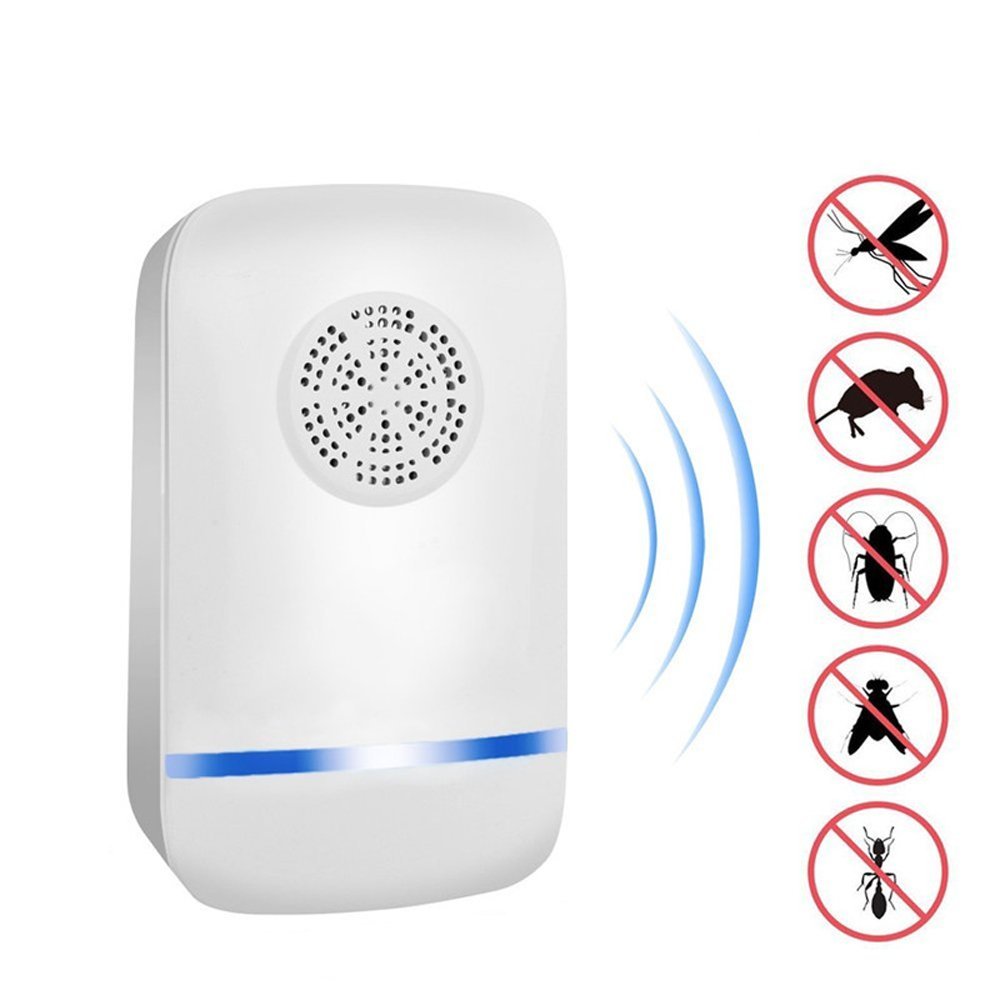 HTB1xnESef6TBKNjSZJiq6zKVFXah