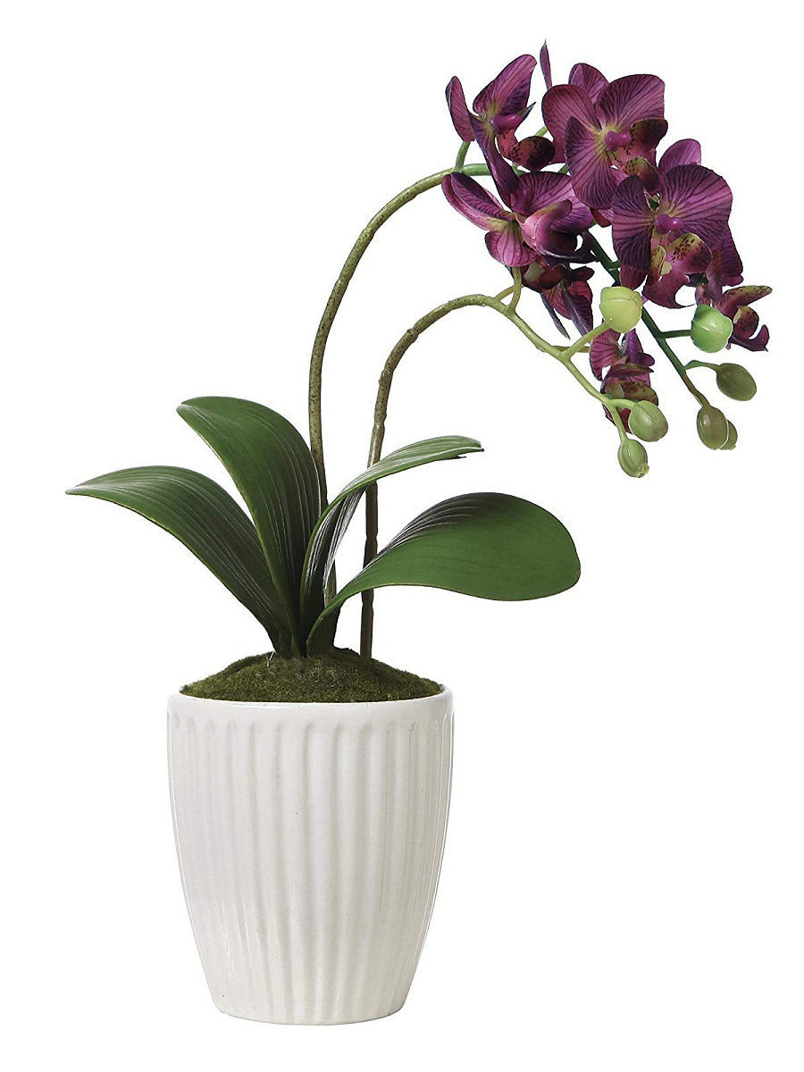 10387401-1 10387401-1