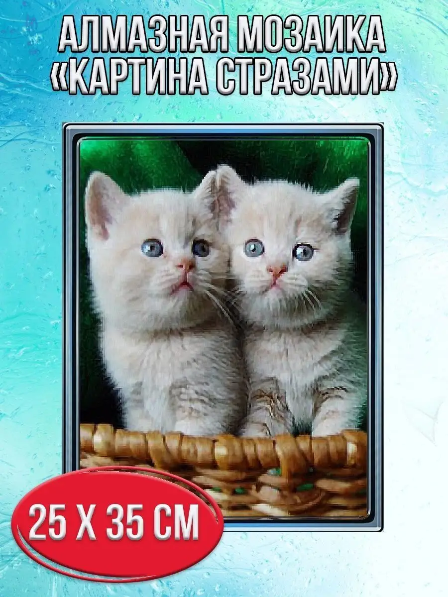 Алмазная мозаика картина стразами Два котёнка в корзине, 30х40 см