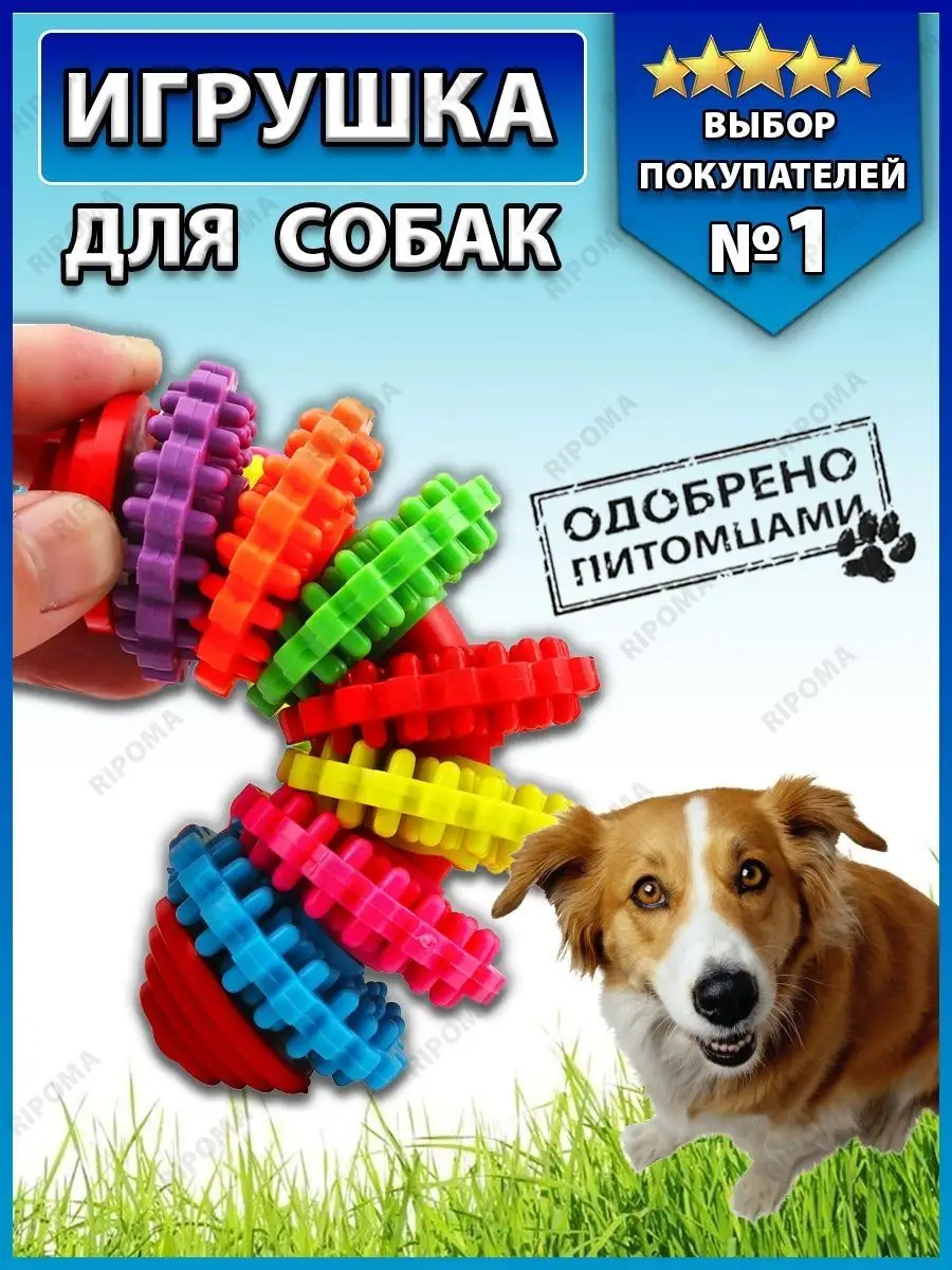 Игрушка для собак, радуга