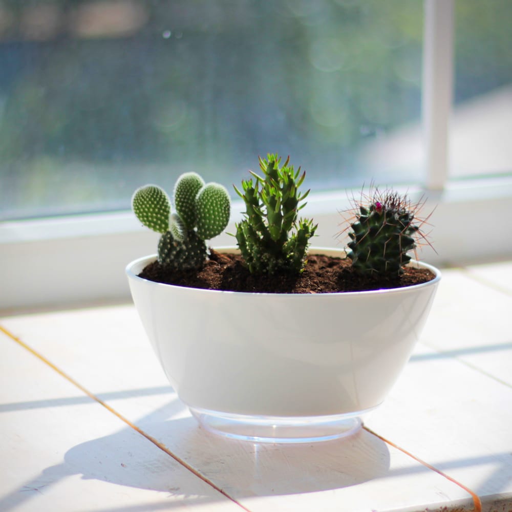 Лодочка Лодочка