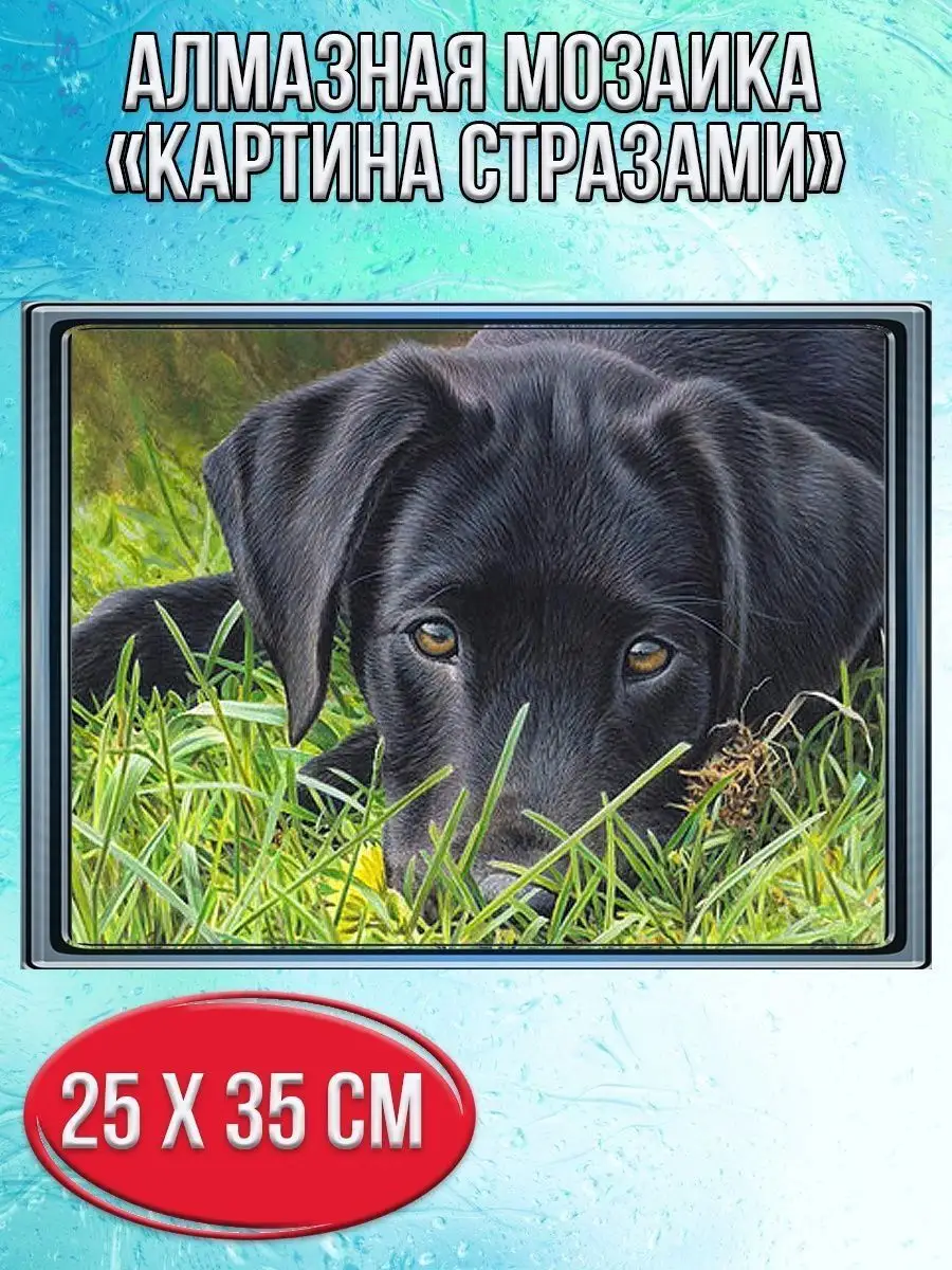 Алмазная мозаика картина стразами Чёрный лабрадор, 30х40 см Алмазная мозаика картина стразами Чёрный лабрадор, 30х40 см