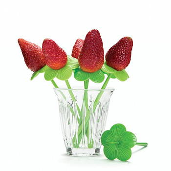 Набор шпажек для закусок BLOSSOM, 10 шт