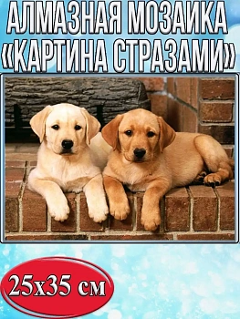 Алмазная мозаика картина стразами Два лабрадора, 30х40 см