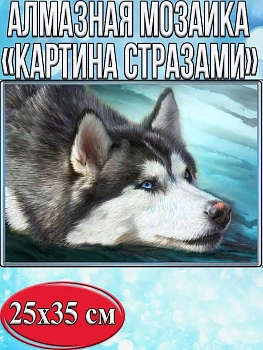 Алмазная мозаика картина стразами Сибирский хаски, 30х40 см