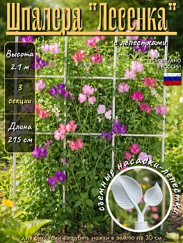 Шпалера Лесенка с лепестками