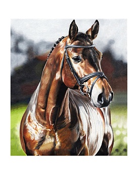 Алмазная мозаика картина стразами Лошадь, 40х50 см