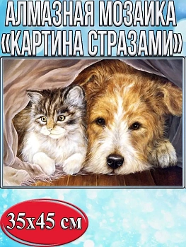 Алмазная мозаика картина стразами Котик с собакой под одеялом, 40х50 см