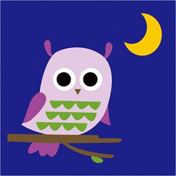 Алмазная мозаика картина стразами Совушка с луной, 15х20 см Алмазная мозаика картина стразами Совушка с луной, 15х20 см