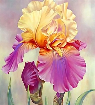 Алмазная мозаика картина стразами Ирис, 15х20 см