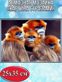 Алмазная мозаика картина стразами Китайские обезьянки, 30х40 см