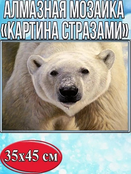 Алмазная мозаика картина стразами Белый медведь, 40х50 см