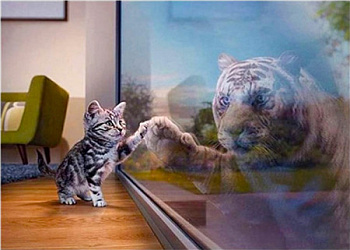 Алмазная мозаика картина стразами Тигр в отражении котёнка, 30х40 см
