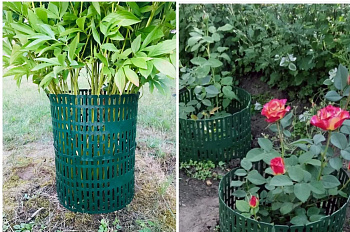 Защита стволов деревьев, 34.5х20.5 см