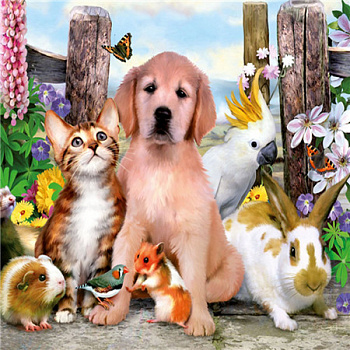 Алмазная мозаика картина стразами Домашние питомцы, 30х30 см
