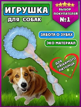 Игрушка-грызунок для собак Круг на веревке