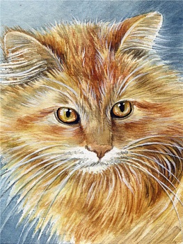 Алмазная мозаика картина стразами Рыжий котик, 40х50 см