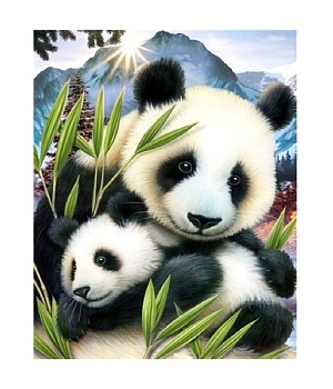 Алмазная мозаика картина стразами Панды, 30х40 см
