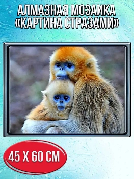 Алмазная мозаика картина стразами Обезьянки, 50х65 см