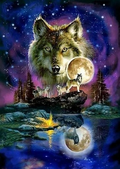 Алмазная мозаика картина стразами Волк в полнолуние, 30х40 см