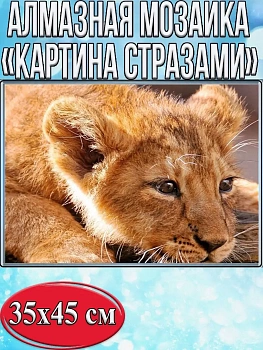 Алмазная мозаика картина стразами Львёнок, 40х50 см