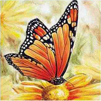 Алмазная мозаика картина стразами Бабочка, 15х20 см Алмазная мозаика картина стразами Бабочка, 15х20 см