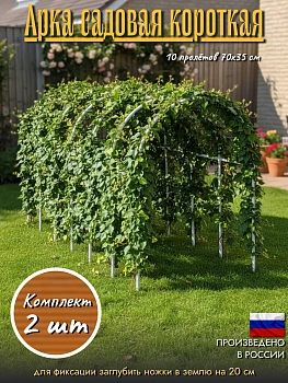 Арка короткая (Горизонтальный пролет 35см)