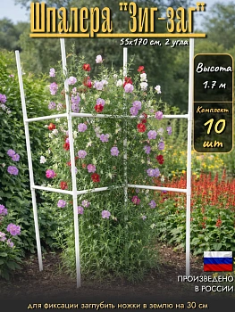 Шпалера