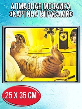 Алмазная мозаика картина стразами Спящий котик, 30х40 см