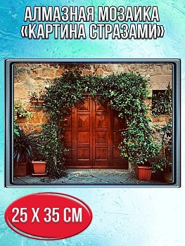Алмазная мозаика картина стразами Винтажная дверь с плющом, 30х40 см