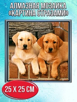Алмазная мозаика картина стразами Два лабрадора, 30х30 см