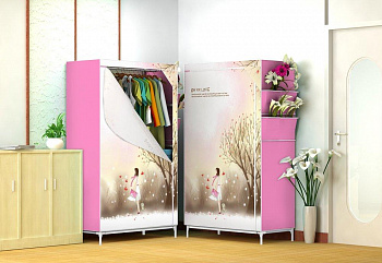 Складной шкаф с рисунком*