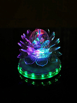 00022956 Диско-шар лотос